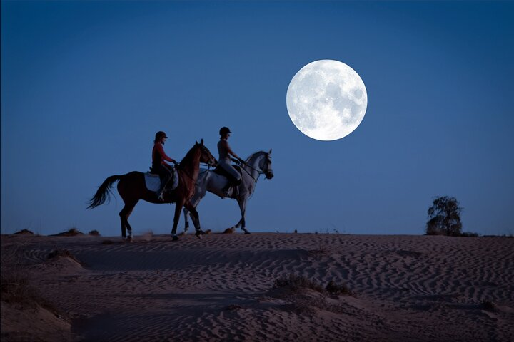 Experience serene nights riding alongside glowing horses under the full moon as you explore winding paths and encounter the unique wildlife of Dubai's enchanting park landscape.